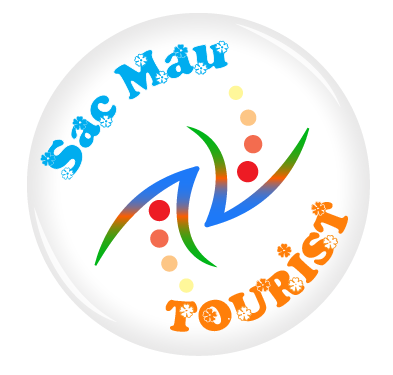 cropped-logo-sacmau-3D-No-Shadow-01.png
