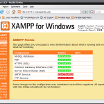 Cấu hình xampp host server