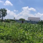 Thumbnail: Đất sào làm vườn gần KDL Bửu Long, Biên Hòa